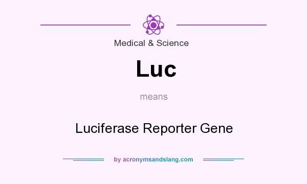 What does Luc mean? It stands for Luciferase Reporter Gene