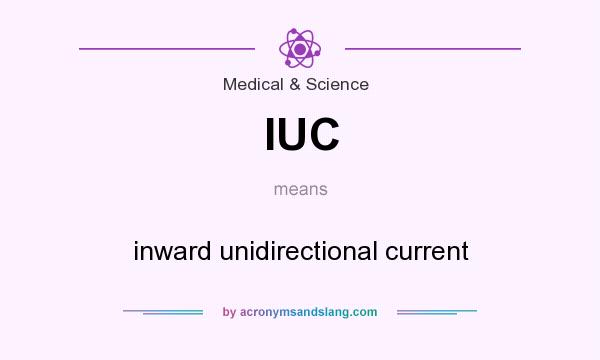 What does IUC mean? It stands for inward unidirectional current