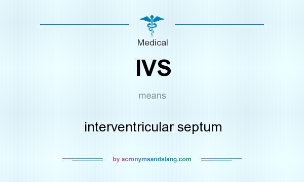 What does IVS mean? It stands for interventricular septum