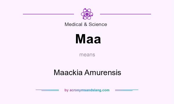 What does Maa mean? It stands for Maackia Amurensis