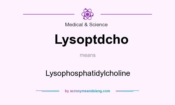What does Lysoptdcho mean? It stands for Lysophosphatidylcholine