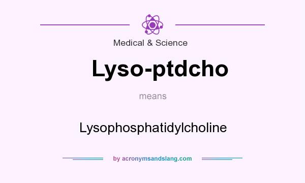What does Lyso-ptdcho mean? It stands for Lysophosphatidylcholine