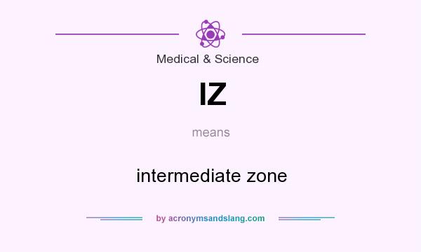 What does IZ mean? It stands for intermediate zone