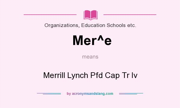 What does Mer^e mean? It stands for Merrill Lynch Pfd Cap Tr Iv