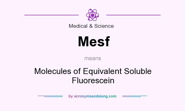What does Mesf mean? It stands for Molecules of Equivalent Soluble Fluorescein