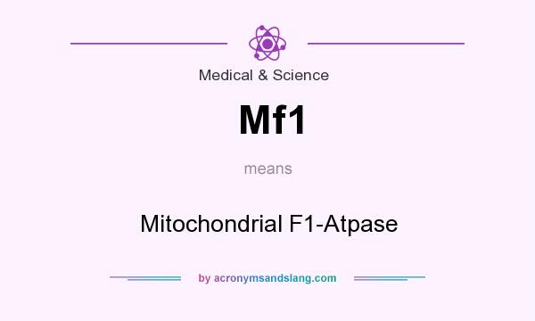 What does Mf1 mean? It stands for Mitochondrial F1-Atpase
