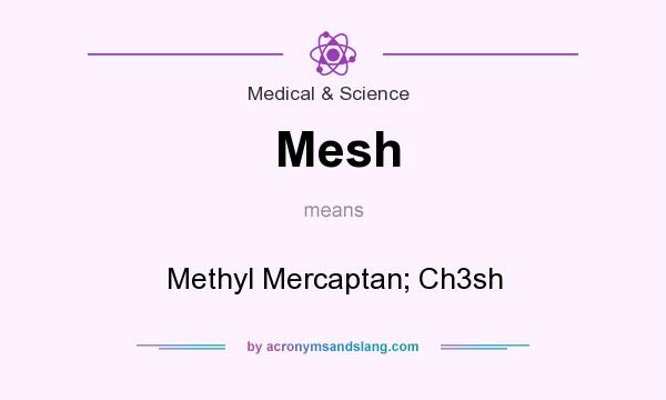 What does Mesh mean? It stands for Methyl Mercaptan; Ch3sh