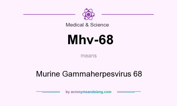 What does Mhv-68 mean? It stands for Murine Gammaherpesvirus 68