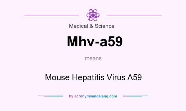 What does Mhv-a59 mean? It stands for Mouse Hepatitis Virus A59