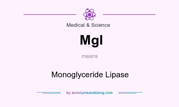 What does Mgl mean? It stands for Monoglyceride Lipase