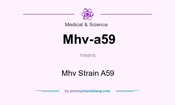What does Mhv-a59 mean? It stands for Mhv Strain A59