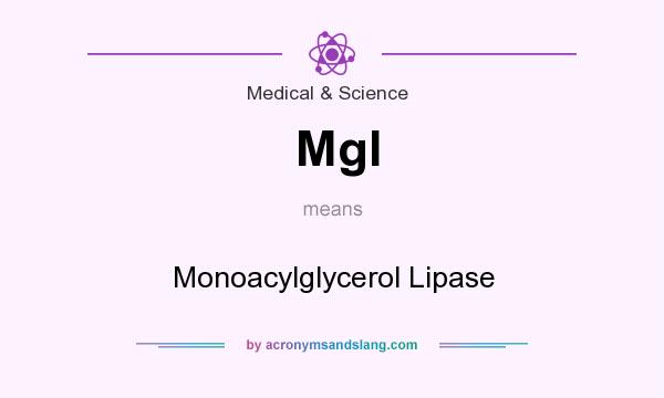 What does Mgl mean? It stands for Monoacylglycerol Lipase