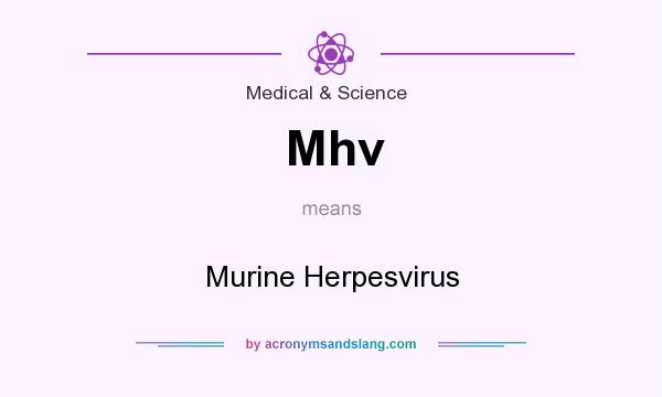 What does Mhv mean? It stands for Murine Herpesvirus