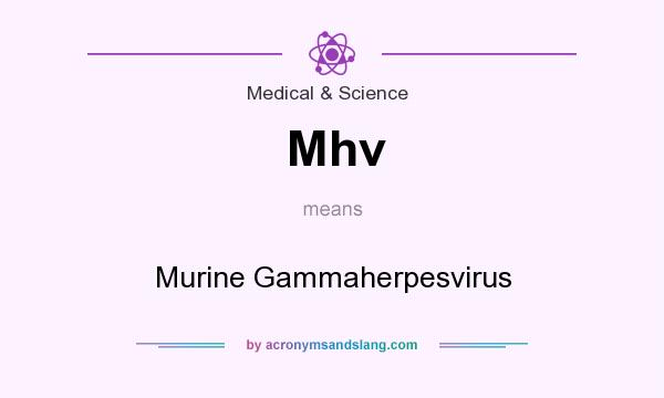 What does Mhv mean? It stands for Murine Gammaherpesvirus
