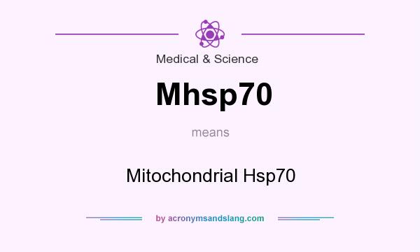 What does Mhsp70 mean? It stands for Mitochondrial Hsp70