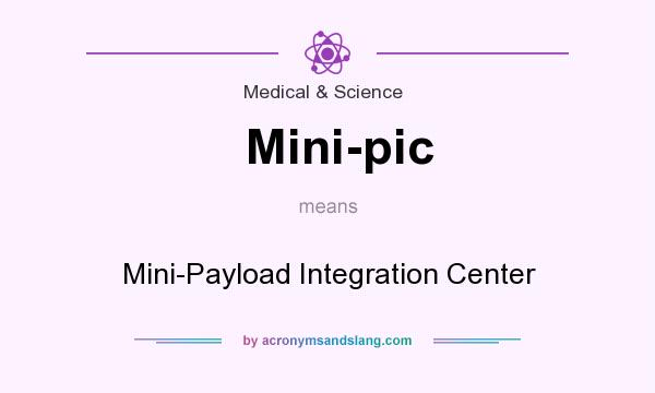 What does Mini-pic mean? It stands for Mini-Payload Integration Center