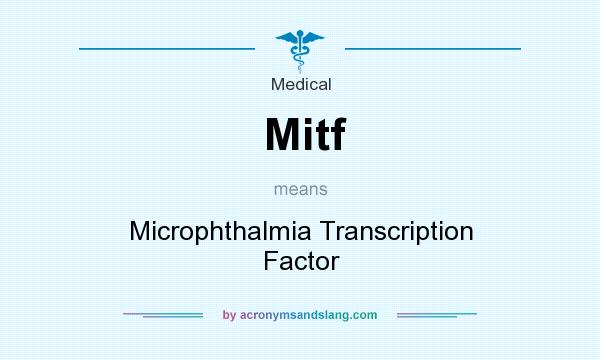 What does Mitf mean? It stands for Microphthalmia Transcription Factor