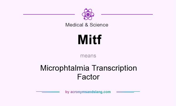 What does Mitf mean? It stands for Microphtalmia Transcription Factor