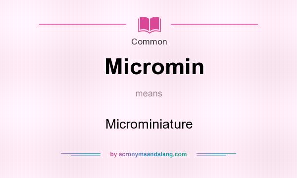 What does Micromin mean? It stands for Microminiature