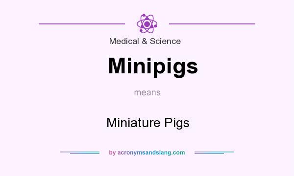 What does Minipigs mean? It stands for Miniature Pigs