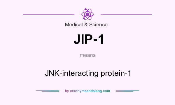 What does JIP-1 mean? It stands for JNK-interacting protein-1