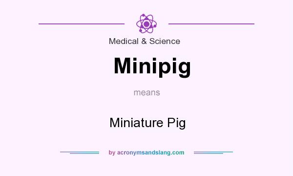 What does Minipig mean? It stands for Miniature Pig