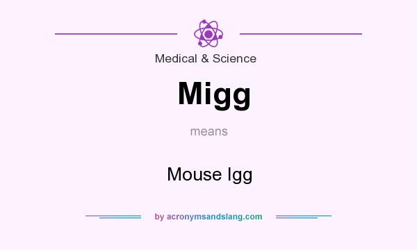 What does Migg mean? It stands for Mouse Igg