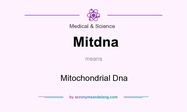 What does Mitdna mean? It stands for Mitochondrial Dna