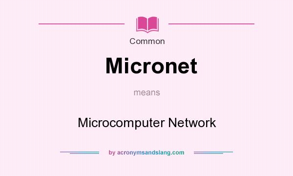 What does Micronet mean? It stands for Microcomputer Network