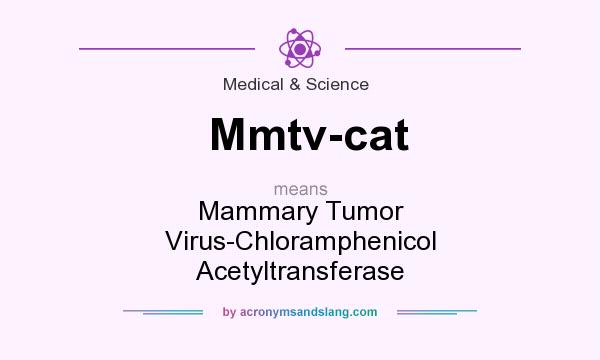 What does Mmtv-cat mean? It stands for Mammary Tumor Virus-Chloramphenicol Acetyltransferase