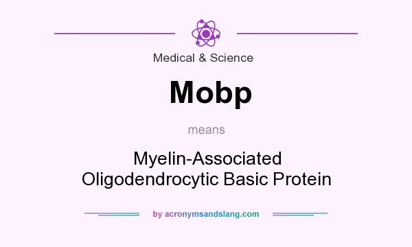 What does Mobp mean? It stands for Myelin-Associated Oligodendrocytic Basic Protein