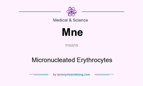 What does Mne mean? It stands for Micronucleated Erythrocytes