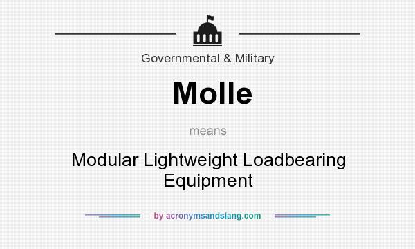 What does Molle mean? It stands for Modular Lightweight Loadbearing Equipment