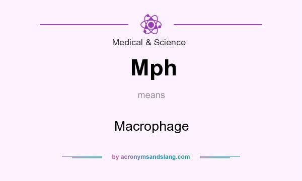 What does Mph mean? It stands for Macrophage