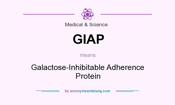 What does GIAP mean? It stands for Galactose-Inhibitable Adherence Protein