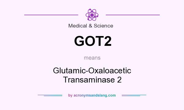 What does GOT2 mean? It stands for Glutamic-Oxaloacetic Transaminase 2