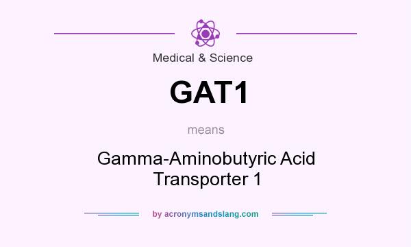 What does GAT1 mean? It stands for Gamma-Aminobutyric Acid Transporter 1