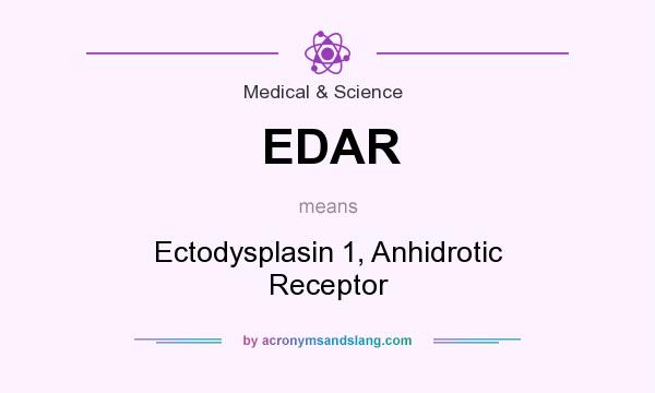 What does EDAR mean? It stands for Ectodysplasin 1, Anhidrotic Receptor