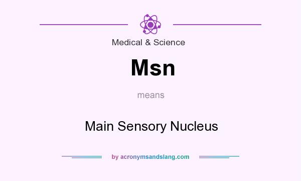 What does Msn mean? It stands for Main Sensory Nucleus