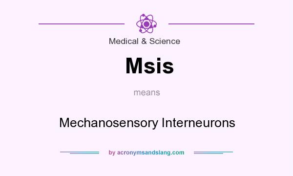 What does Msis mean? It stands for Mechanosensory Interneurons