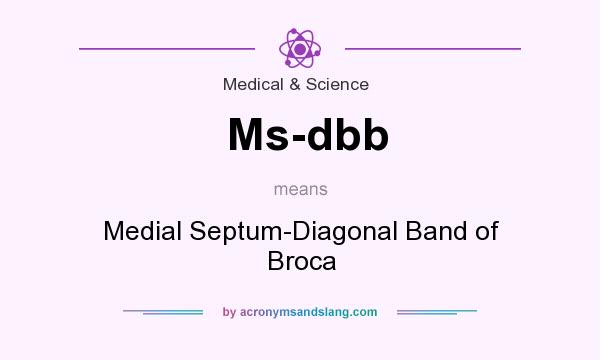 What does Ms-dbb mean? It stands for Medial Septum-Diagonal Band of Broca