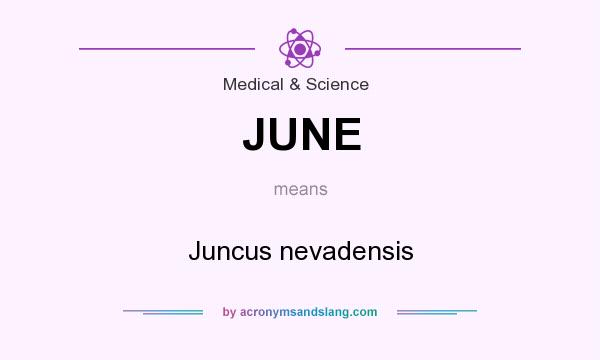 What does JUNE mean? It stands for Juncus nevadensis