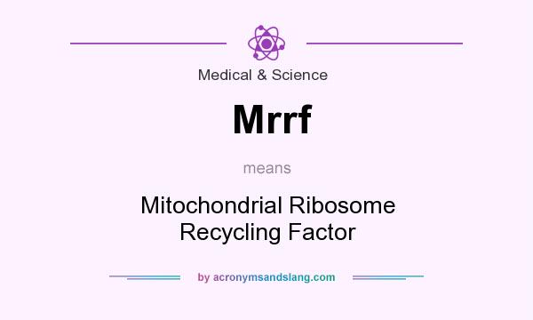 What does Mrrf mean? It stands for Mitochondrial Ribosome Recycling Factor