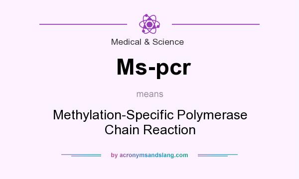 What does Ms-pcr mean? It stands for Methylation-Specific Polymerase Chain Reaction