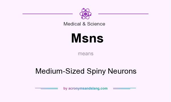 What does Msns mean? It stands for Medium-Sized Spiny Neurons