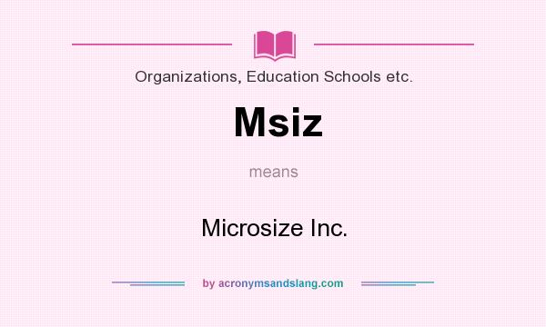 What does Msiz mean? It stands for Microsize Inc.