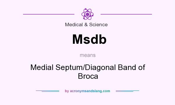 What does Msdb mean? It stands for Medial Septum/Diagonal Band of Broca