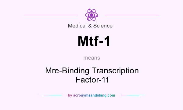What does Mtf-1 mean? It stands for Mre-Binding Transcription Factor-11