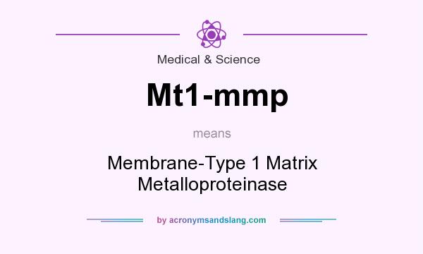 What does Mt1-mmp mean? It stands for Membrane-Type 1 Matrix Metalloproteinase