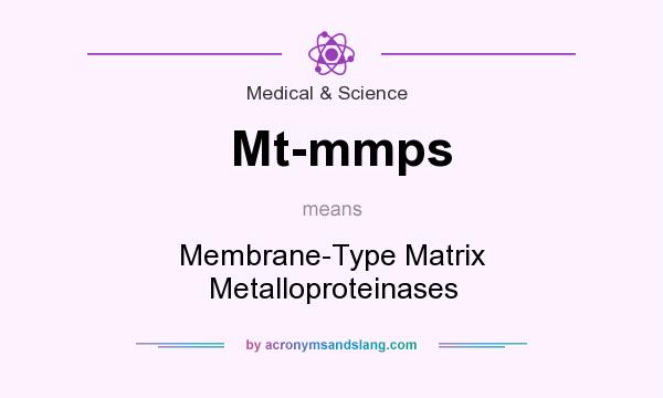 What does Mt-mmps mean? It stands for Membrane-Type Matrix Metalloproteinases
